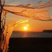 DeboraMaw_reinounido_atardecer-en-plastico