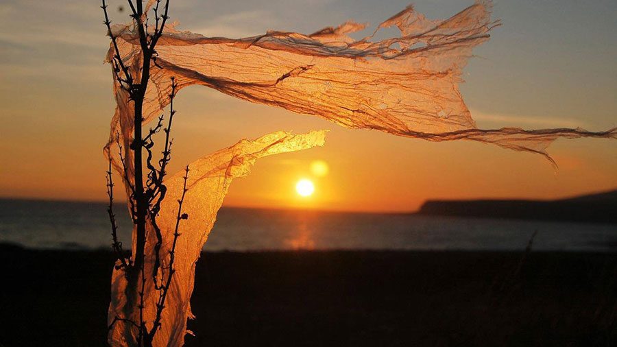 DeboraMaw_reinounido_atardecer-en-plastico