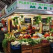 mercado_valencia