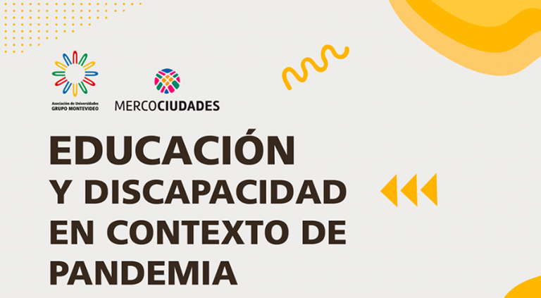 Seminario web sobre Educación y Discapacidad en contexto de pandemia