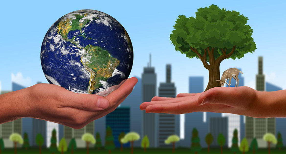 Estrategias de Sostenibilidad Ambiental en las capitales iberoamericanas